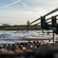 Daiwa Black Widow + Carp Rods